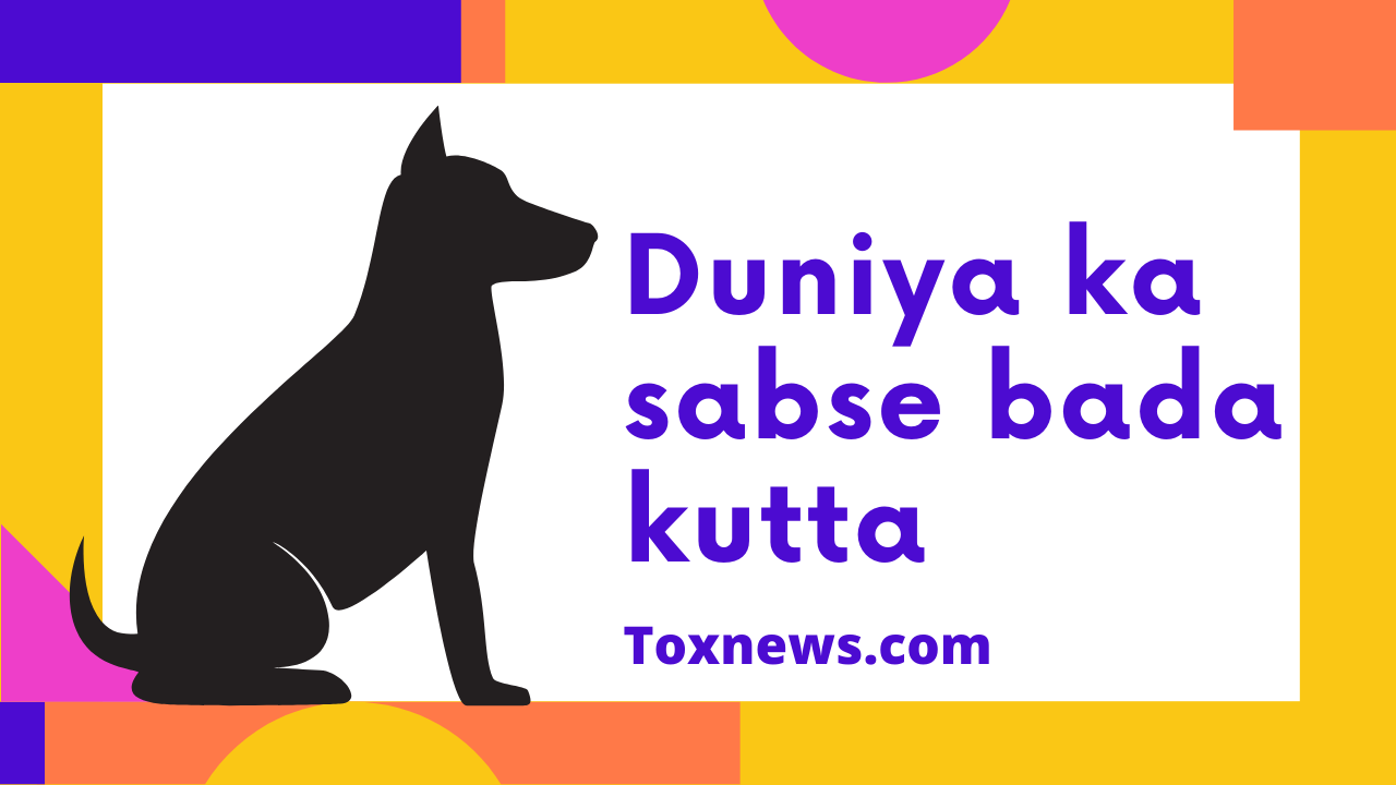 Duniya ka sabse bada kutta | बड़ा कुत्ता कौन सा है?