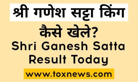 Shri Ganesh Satta King | श्री गणेश सट्टा किंग Result Today
