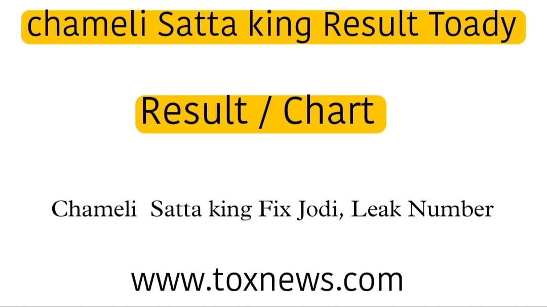 Chameli Satta | Chameli Satta Result